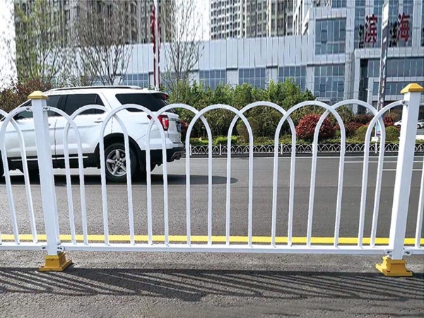 道路护栏 (38)