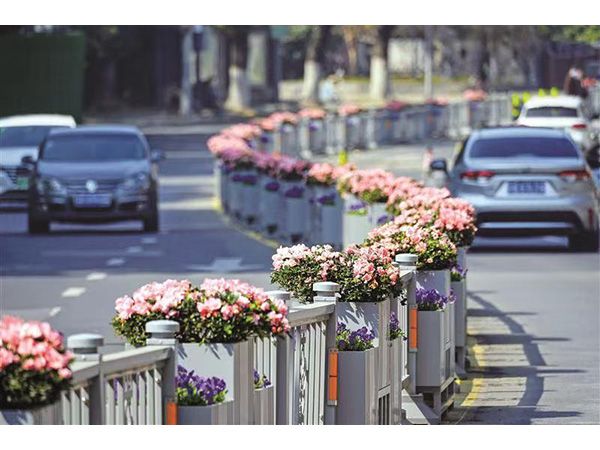 市政花箱护栏